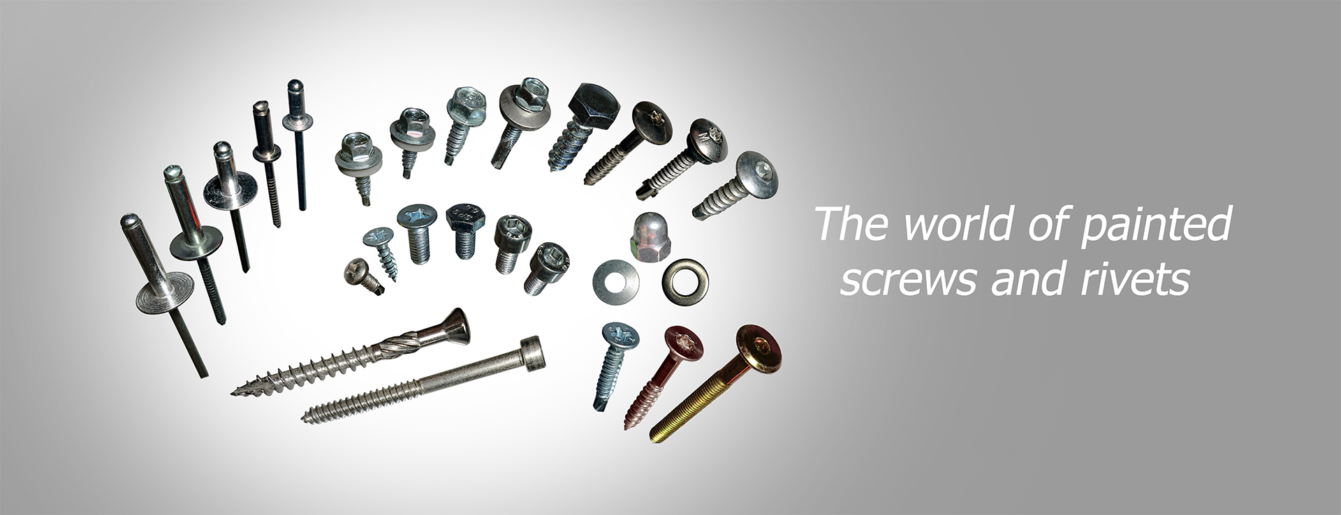 Rijako, Ltd. - the world of painted screws and rivets